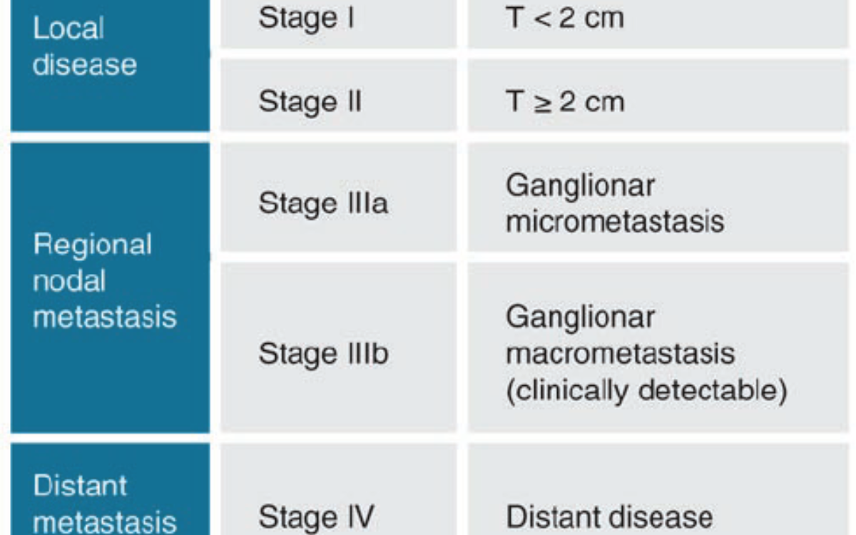 What are the Stages of Merkel Cell Carcinoma