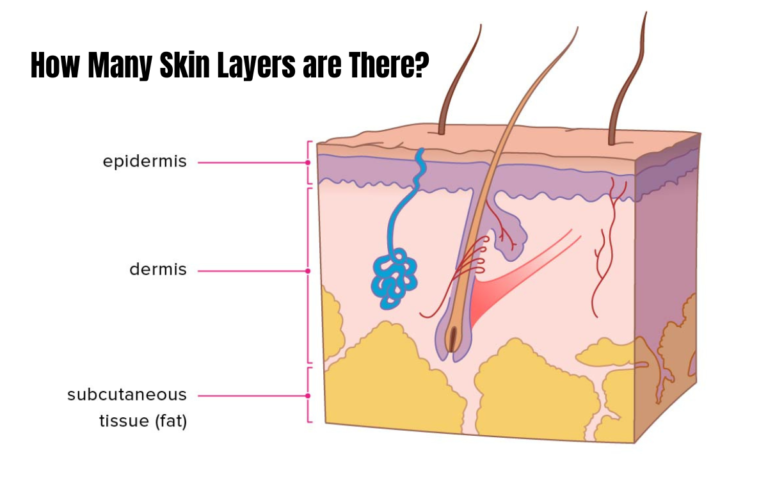 How Many Skin Layers are There?